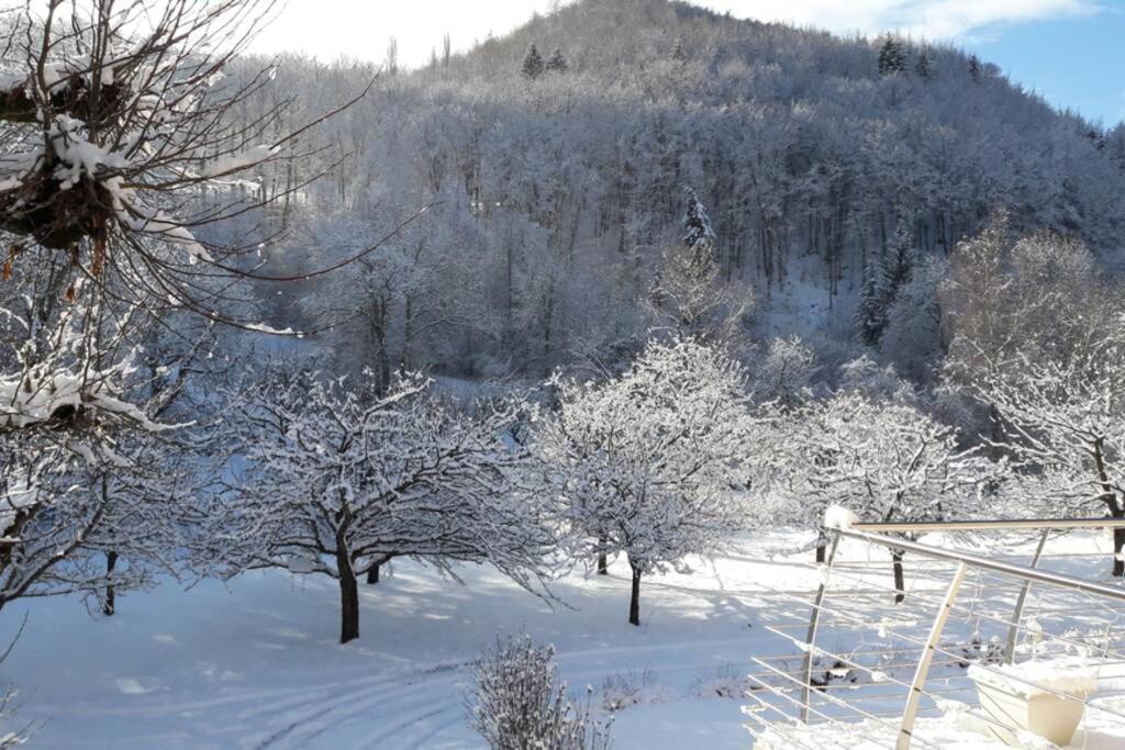 Gite "Entre Champsaur Et Valgodemard" Saint-Jacques-en-Valgodemard 외부 사진