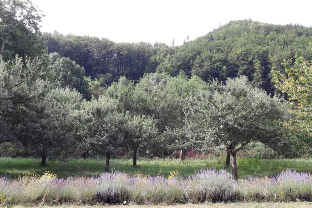 Gite "Entre Champsaur Et Valgodemard" Saint-Jacques-en-Valgodemard 외부 사진